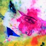 2022-Dame-Blanche-Website-2