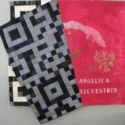 Angelica silvestris