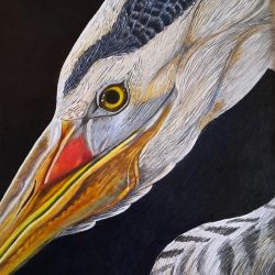 kunstwerk_reijken