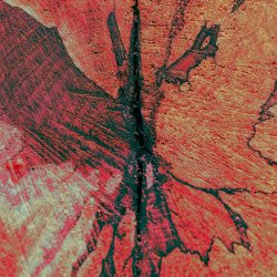 kunstwerk_vis